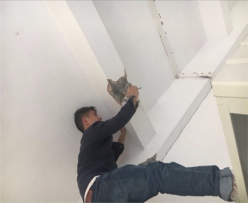 1604707658563857.jpg 152887521167779.jpg