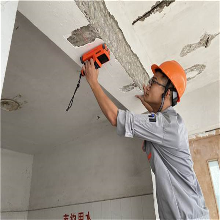 1678952447735078.jpg 2367cf49a41f4b2eac2d05ba9a29e08a.jpg